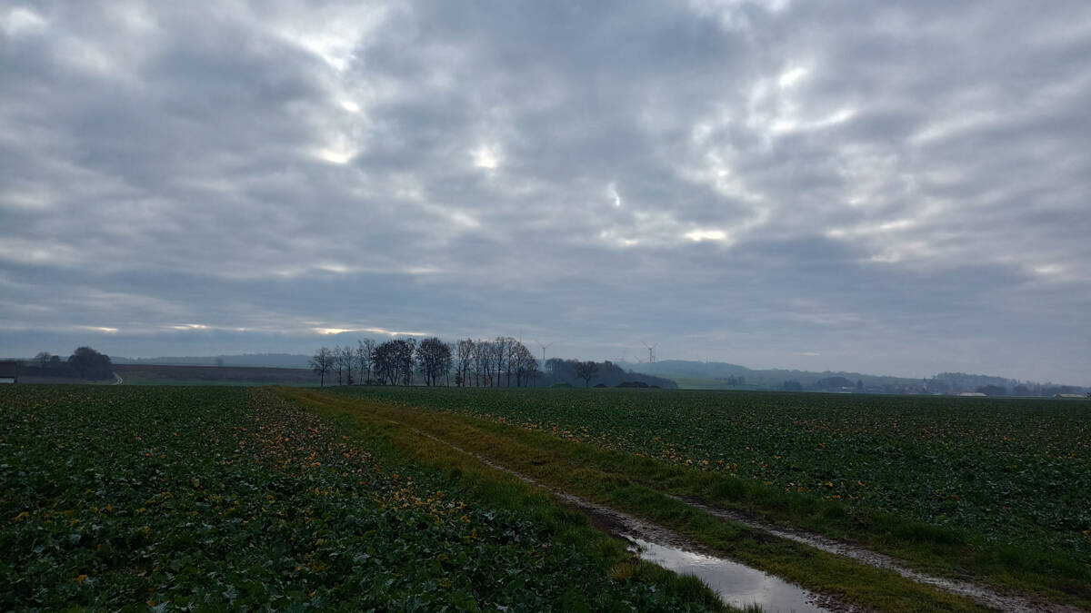 Blick von Laberweinting (hinter Laberfeldstraße)